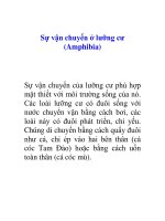 Tài liệu Sự vận chuyển ở lưỡng cư (Amphibia) pptx