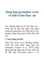 Tài liệu Dung hợp protoplast và lai vô tính tế bào thực vật docx