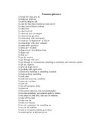 Tài liệu Common phrases used in English pptx