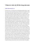 Tài liệu Chăm sóc vườn cây hồ tiêu trong mùa mưa pdf