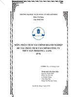 Tài liệu Đề tài: PHÂN TÍCH TÀI CHÍNH CÔNG TY THỦY SẢN MÊKONG pdf
