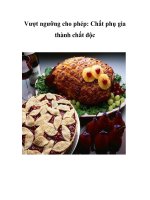 Tài liệu Vượt ngưỡng cho phép: Chất phụ gia thành chất độc doc