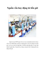 Tài liệu Nguồn vốn huy động từ tiền gửi pdf