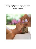 Tài liệu Những bộ phận quan trọng của cơ thể lão hóa khi nào? docx