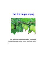 Tài liệu Lợi ích từ quả mọng docx