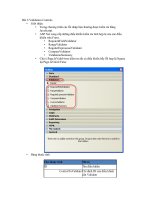 Tài liệu Bài 3:Validation Controls ppt