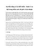 Tài liệu Sự biến động tỷ lệ chiết khấu - hành vi cơ hội trong kiểm soát chi phí và lợi nhuận pdf