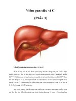 Tài liệu Viêm gan siêu vi C doc
