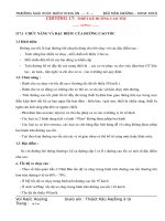 Tài liệu THIẾT KẾ CẤU TẠO KẾT CẤU CầU ĐƯỜNG chương 17 doc