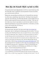 Tài liệu Bán địa chỉ Email: Dịch vụ hái ra tiền doc