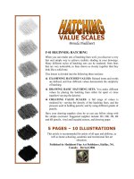 Tài liệu Hatching Value Scales docx