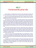 Tài liệu Thanh Cung Mười Ba Triều - Hồi 17 docx