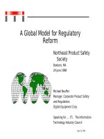 Tài liệu A Global Model for Regulatory Reform doc