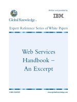 Tài liệu Web Services Handbook – An Excerpt ppt