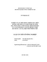 Nghiên cứu sự biến động nhiễm giun tròn đường tiêu hoá của chó ở một số tỉnh bắc trung bộ và một số đặc điểm sinh học của ancylostoma caninum, bệnh lý học do chúng gây ra, biện pháp phòng trừ 