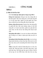 Tài liệu ĐỒ ÁN THIẾT KẾ CÔNG NGHỆ CHUYỂN MẠCH NHÃN ĐA GIAO THỨC, chương 4 pptx