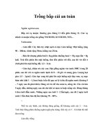 Tài liệu Trồng bắp cải an toàn doc