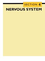 Tài liệu CLINICAL PHARMACOLOGY 2003 (PART 19) pdf
