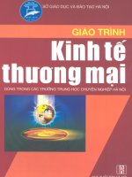 Tài liệu Giáo trình Kinh tế Thương mại pdf
