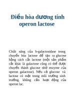 Tài liệu Điều hòa dương tính operon lactose doc