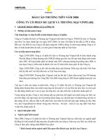 Tài liệu BÁO CÁO THƯỜNG NIÊN NĂM 2008 CÔNG TY CỔ PHẦN DU LỊCH VÀ THƯƠNG MẠI VINPEARL doc