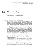 Tài liệu Giới thiệu về IP và ATM - Thiết kế và hiệu suất P12 docx