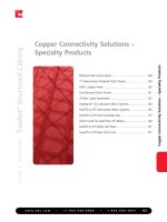 Tài liệu w w w . a d c . c o m • + 1 - 9 5 2 - 9 3 8 - 8 0 8 0 • 1 - 8 0 0 - 3 6 6 - 3 8 9 1 127 Copper Connectivity Solutions – Specialty Products Copper Connectivity Solutions – Specialty Products pptx