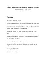 Tài liệu Cấp hộ chiếu công vụ do làm hỏng, mất tại cơ quan đại diện Việt Nam ở nước ngoài doc