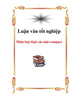 Luận văn Phân loại tôpô các mặt compact