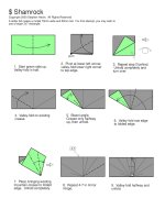 Tài liệu Nghệ thuật xếp hình Nhật Bản:shamrock_2 docx
