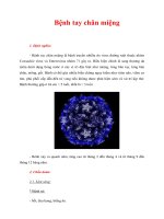 Tài liệu Giáo trình Bệnh tay chân miệng pptx