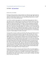 Tài liệu Các giải pháp đẩy mạnh thu hút đầu tưu nớc ngoài pptx