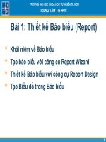Tài liệu Bài 1: Thiếtkế Báo biểu(Report) ppt