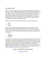 Tài liệu How NetFilter Works pdf