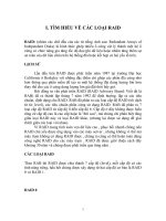 Báo cáo kiến trúc máy tính _TÌM HIỂU VỀ CÁC LOẠI RAID