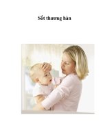 Tài liệu Sốt thương hàn pptx