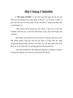Tài liệu Giáo trình Hội Chứng Chilaiditi pptx
