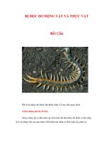 Tài liệu BỊ ĐỘC DO ĐỘNG VẬT VÀ THỰC VẬT docx