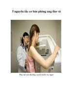 Tài liệu 5 nguyên tắc cơ bản phòng ung thư vú ppt