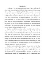 Giải pháp nâng cao hiệu quả kinh doanh của công ty cổ phần đầu tư ngọc lâm 