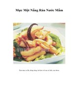 Tài liệu Mực Một Nắng Rán pdf