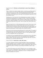 Tài liệu 963 bài essays mẫu part 62 ppt