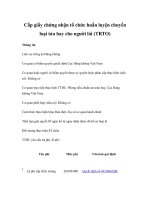 Tài liệu Cấp giấy chứng nhận tổ chức huấn luyện chuyển loại tàu bay cho người lái (TRTO) pdf