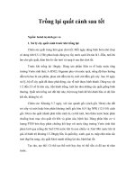 Tài liệu Trồng lại quất cảnh sau tết ppt