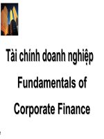 Tài liệu Tài chính doanh nghiệp - Chương 1 pdf