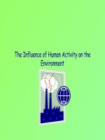 Tài liệu The Influence of Human Activity on the Environment ppt