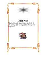 Tài liệu Luận văn 
