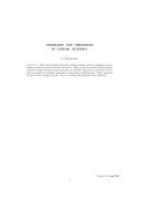 Tài liệu PROBLEMS AND THEOREMS IN LINEAR ALGEBRA pdf