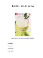 Tài liệu Trái Cây Và Sô-Cô-La Sữa pdf