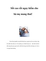 Tài liệu Sốt cao rất nguy hiểm cho bà mẹ mang thai! pptx